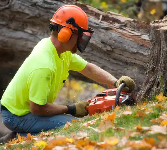 tree services Clarksburg